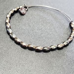 **Final Sale** Alex and Ani dark silver tone charm bangle bracelet